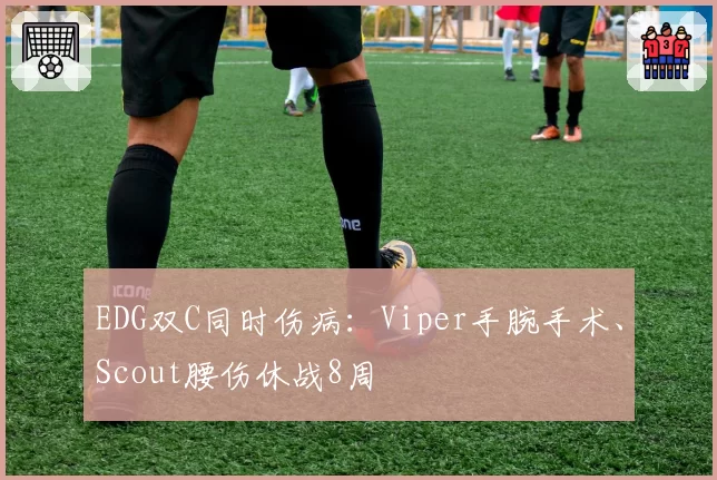 EDG双C同时伤病：Viper手腕手术、Scout腰伤休战8周