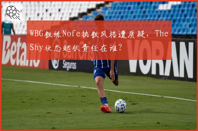 WBG教练Nofe执教风格遭质疑，TheShy状态起伏责任在谁？